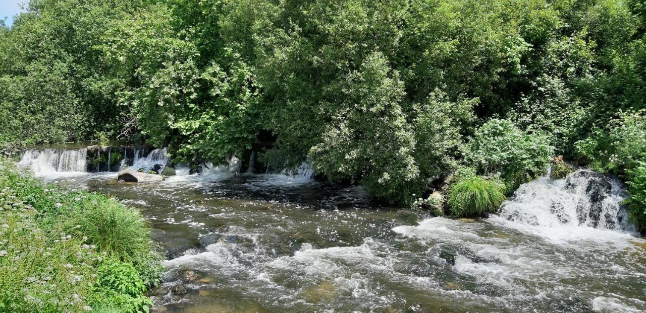 Dream Corner By Waterfalls, 20 Min To Oporto, By Porto With Love Lda Parada  Zewnętrze zdjęcie