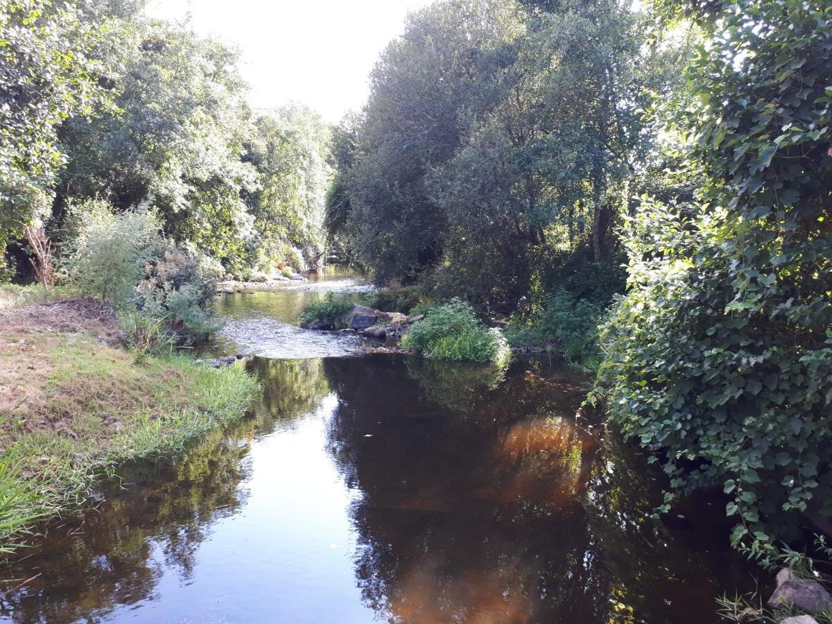 Dream Corner By Waterfalls, 20 Min To Oporto, By Porto With Love Lda Parada  Zewnętrze zdjęcie